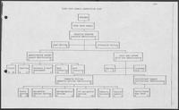 Texas Youth Council Organization Chart, undated