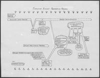 Organization Chart titled Executive Budget Preparation Process, January 8, 1980