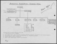 Organization Chart titled "Alternative Organization: Governor's Office," November 1, 1979