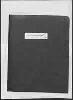 Report titled "Texas 2000 Steering Committee", July 2, 1980